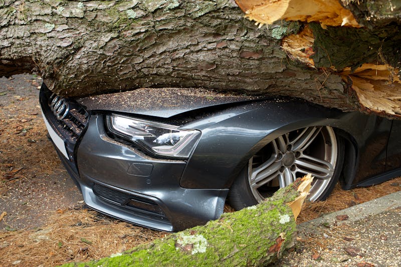 Damage photo 2